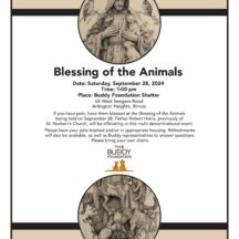 Image from the Blessing of the Animals event on September 28, 2024