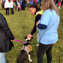 Image from the JDRF Walk Dog Event event on September 30, 2018